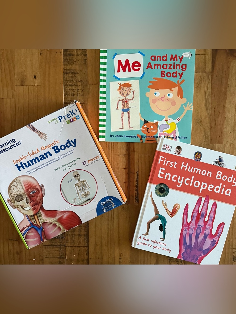 Human Body learning For Children Set Of 3 Montessori Hands on Learning